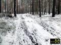 Endmoränen-Landschaft des Niederlausitzer Grenzwalls am Königsberg bei Gehren, Niederlausitz-Spreewald, Brandenburg, (D) (11) 24.01.2015.JPG